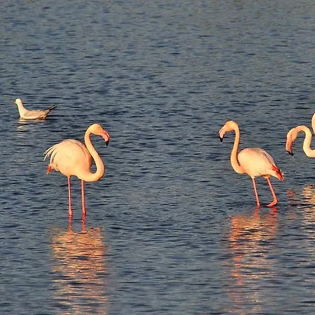 Appartamento Vacanza Mogoro