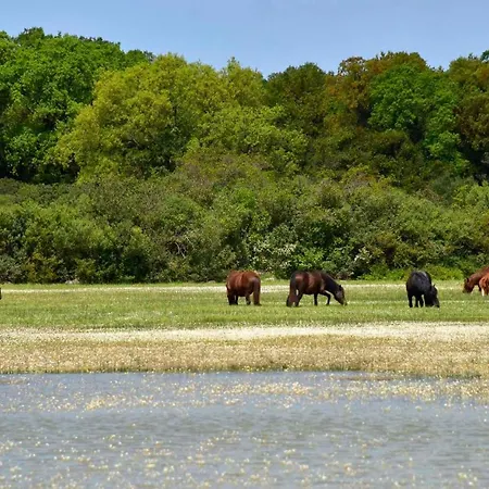 Appartamento Vacanza * Mogoro