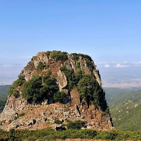 Appartamento Vacanza *